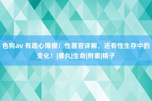 色狗av 有趣心爆棚！性器官详解，还有性生存中的变化！|睾丸|生命|附睾|精子