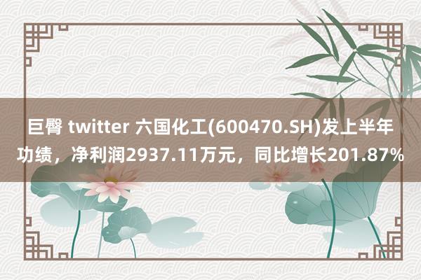 巨臀 twitter 六国化工(600470.SH)发上半年功绩，净利润2937.11万元，同比增长201.87%