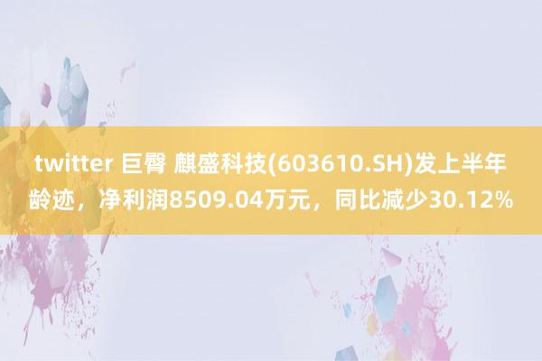 twitter 巨臀 麒盛科技(603610.SH)发上半年龄迹，净利润8509.04万元，同比减少30.12%