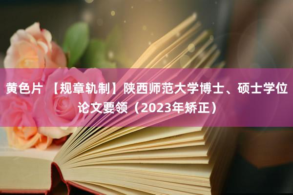 黄色片 【规章轨制】陕西师范大学博士、硕士学位论文要领（2023年矫正）