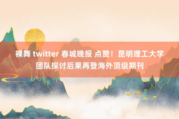 裸舞 twitter 春城晚报 点赞！昆明理工大学团队探讨后果再登海外顶级期刊