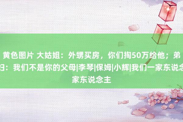 黄色图片 大姑姐：外甥买房，你们掏50万给他；弟妇妇：我们不是你的父母|李琴|保姆|小辉|我们一家东说念主