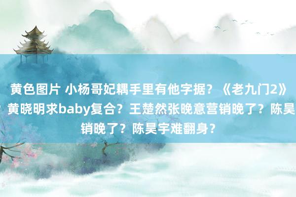 黄色图片 小杨哥妃耦手里有他字据？《老九门2》全员讲究？黄晓明求baby复合？王楚然张晚意营销晚了？陈昊宇难翻身？