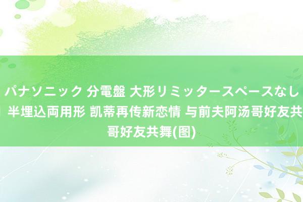 パナソニック 分電盤 大形リミッタースペースなし 露出・半埋込両用形 凯蒂再传新恋情 与前夫阿汤哥好友共舞(图)