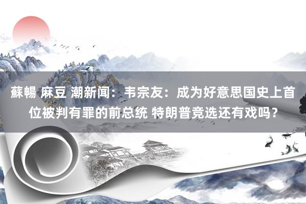 蘇暢 麻豆 潮新闻：韦宗友：成为好意思国史上首位被判有罪的前总统 特朗普竞选还有戏吗？