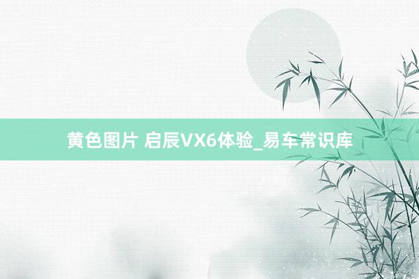 黄色图片 启辰VX6体验_易车常识库