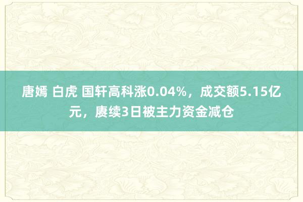 唐嫣 白虎 国轩高科涨0.04%，成交额5.15亿元，赓续3日被主力资金减仓