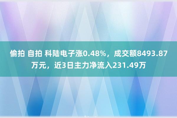 偷拍 自拍 科陆电子涨0.48%，成交额8493.87万元，近3日主力净流入231.49万