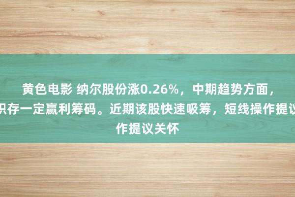 黄色电影 纳尔股份涨0.26%，中期趋势方面，下方积存一定赢利筹码。近期该股快速吸筹，短线操作提议关怀