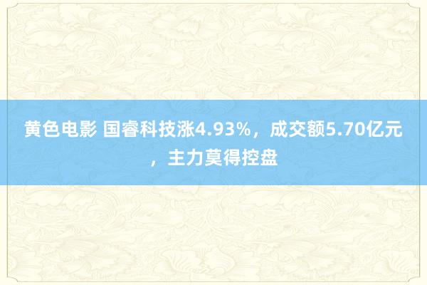 黄色电影 国睿科技涨4.93%，成交额5.70亿元，主力莫得控盘