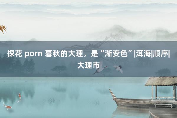 探花 porn 暮秋的大理，是“渐变色”|洱海|顺序|大理市