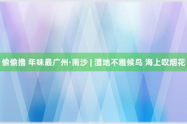 偷偷撸 年味最广州·南沙 | 湿地不雅候鸟 海上叹烟花