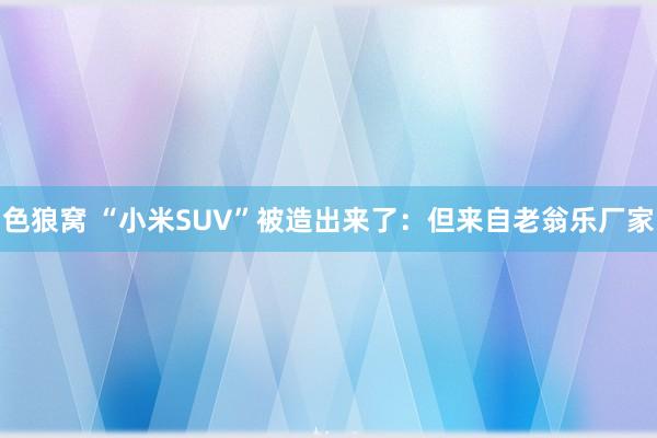 色狼窝 “小米SUV”被造出来了：但来自老翁乐厂家