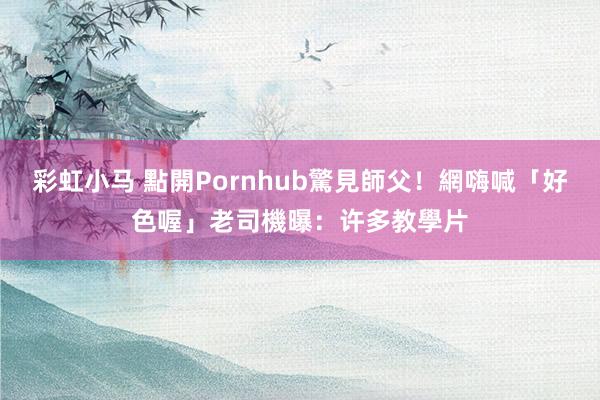 彩虹小马 點開Pornhub驚見師父！網嗨喊「好色喔」　老司機曝：许多教學片