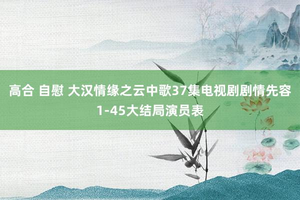 高合 自慰 大汉情缘之云中歌37集电视剧剧情先容1-45大结局演员表