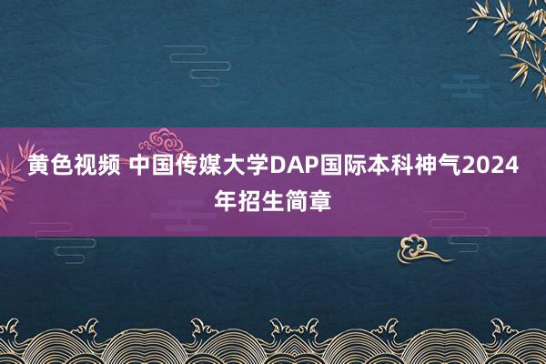 黄色视频 中国传媒大学DAP国际本科神气2024年招生简章