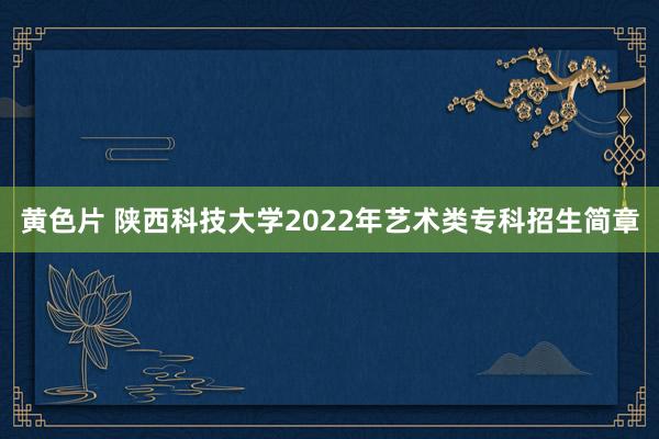 黄色片 陕西科技大学2022年艺术类专科招生简章