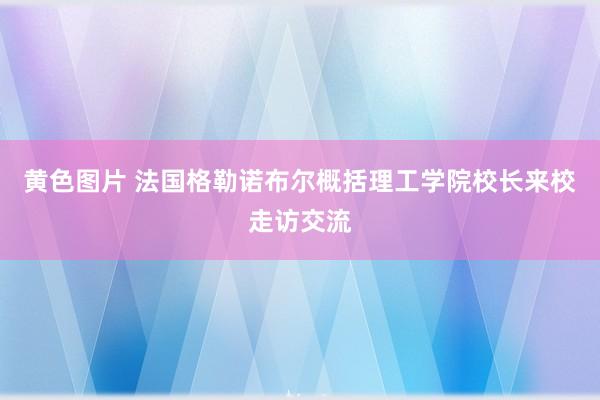 黄色图片 法国格勒诺布尔概括理工学院校长来校走访交流